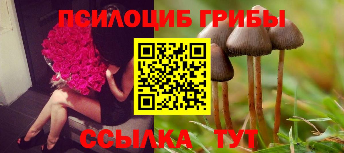 Галлюциногенные грибы MAGIC MUSHROOMS  Псилоцибиновые грибы прущие грибы  Вход с VPN  Черногорск 